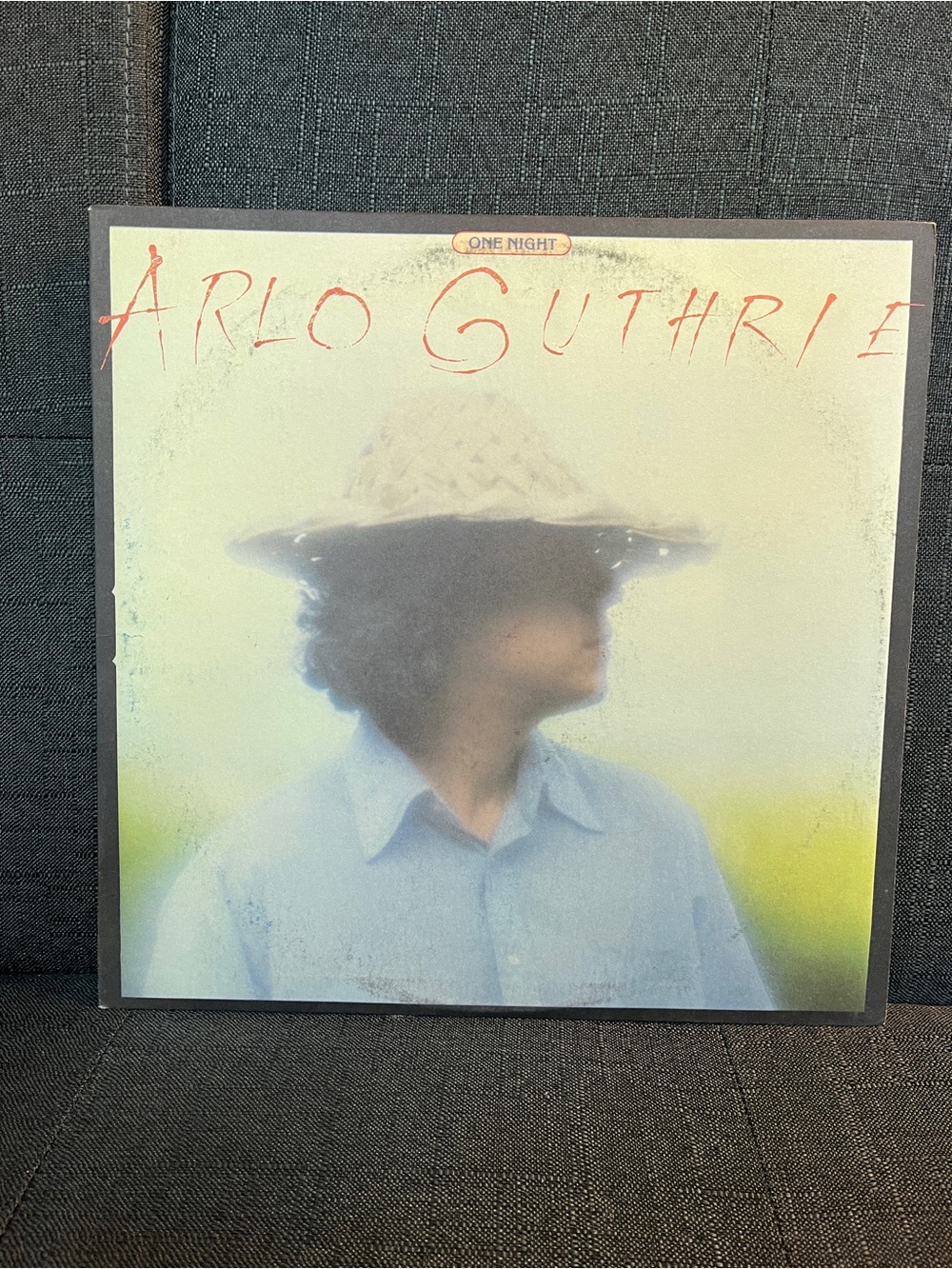 Arlo Guthrie "One Night" Vinyl Album - Soft Pastel Artwork
